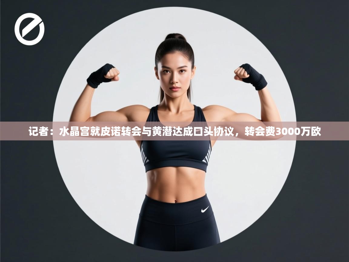 ld乐动体育网页版登录-记者：水晶宫就皮诺转会与黄潜达成口头协议，转会费3000万欧  第4张