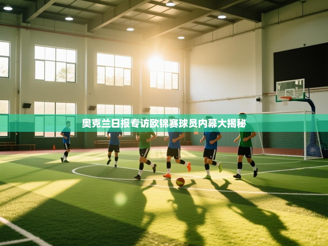 乐动体育app下载官网-奥克兰日报专访欧锦赛球员内幕大揭秘  第4张