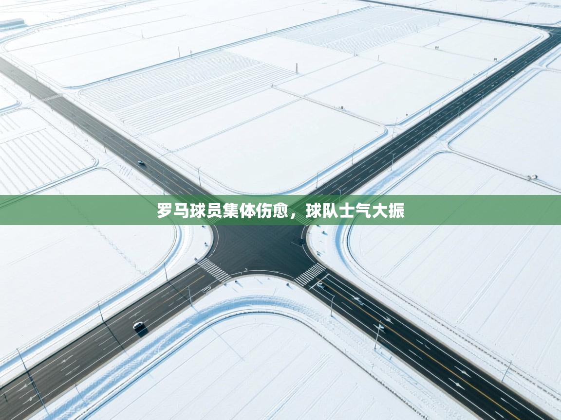 乐动体育app下载教程-罗马球员集体伤愈，球队士气大振